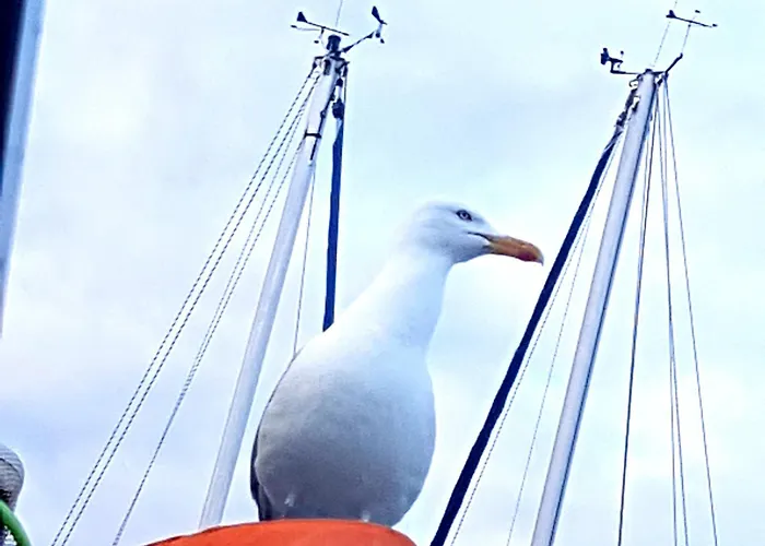 Boots-camping Grevelingen Hotel en barco