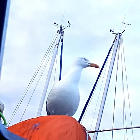 Boots-camping Grevelingen Botel